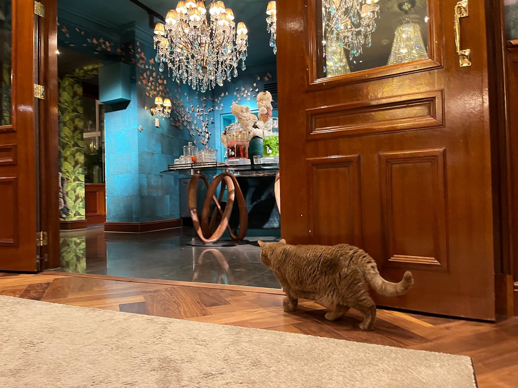 screen recording of dev tools and the toggle, in the dev tools the code is as described, with a form, fieldset, legend, options and svgs